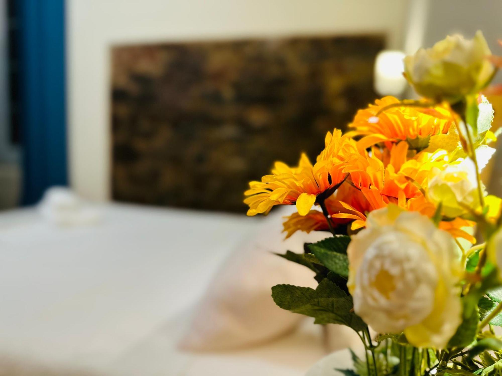 B&B - Residenza D'Epoca Piazza Cairoli Pisa Ngoại thất bức ảnh