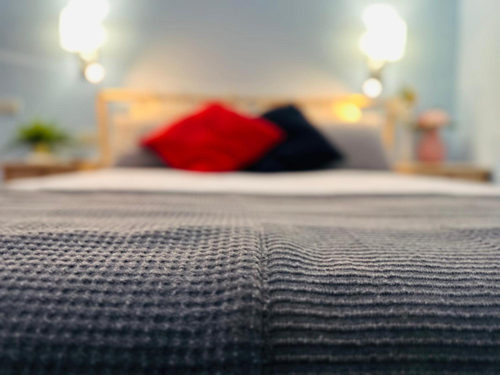 B&B - Residenza D'Epoca Piazza Cairoli Pisa Ngoại thất bức ảnh